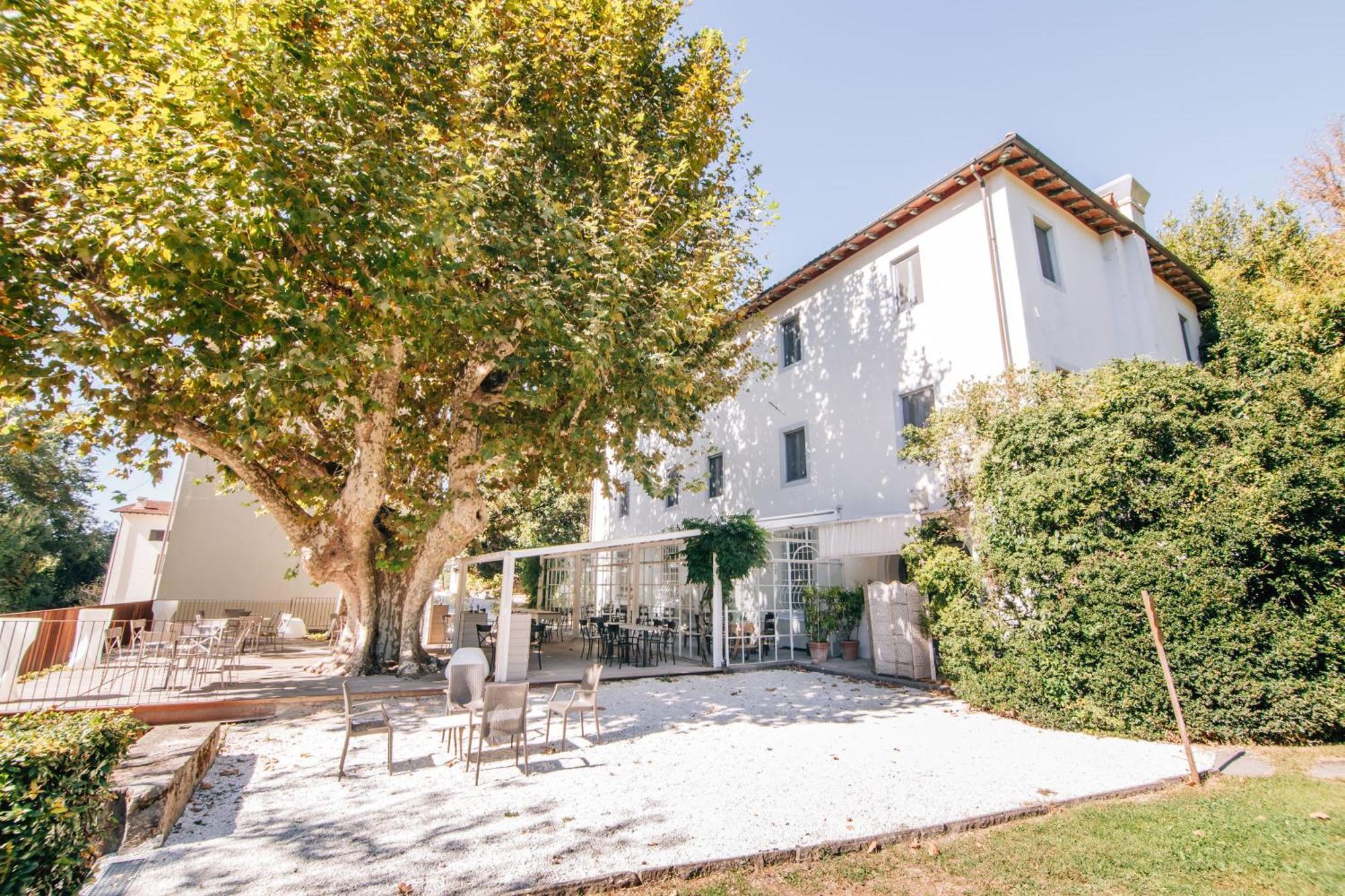 Villa La Bianca Camaiore Exterior foto